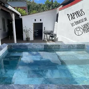 https://terrasses-de-saint-pierre-papyrus.comcaribbean.com